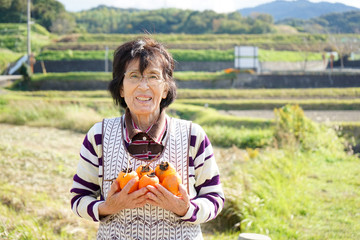 Asian senior cultivatin vegetables with smile