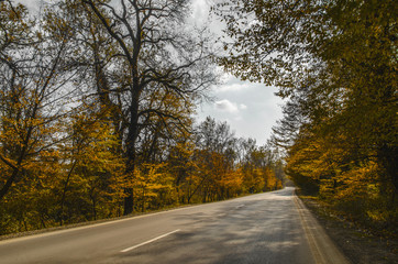 Landscape of asphalt road in beautiful autumn bright day among trees with yellow foliage