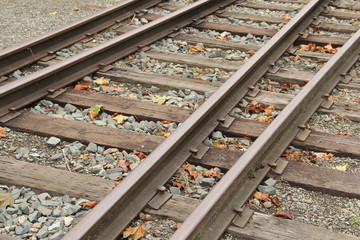 Two railroad tracks starting to diverge in Issaquah, Washington, USA