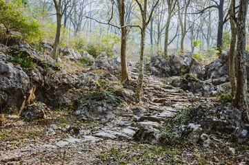 The stone path scenery in mountains