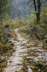 The stone path scenery in mountains