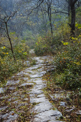 The stone path scenery in mountains