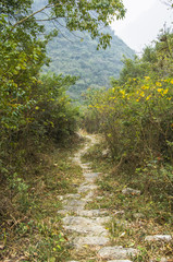 The stone path scenery in mountains