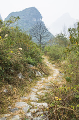 The stone path scenery in mountains