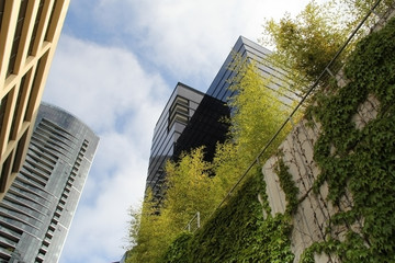 Nature meets the Bellevue, Washington city skyline © Lydia