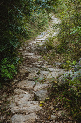 Fototapeta na wymiar The stone path scenery in mountains