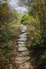 The stone path scenery in mountains