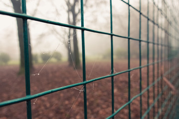 Grid of a fence in a park in autumn