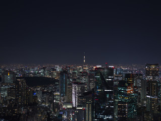 Fototapeta na wymiar Shinjuku at night