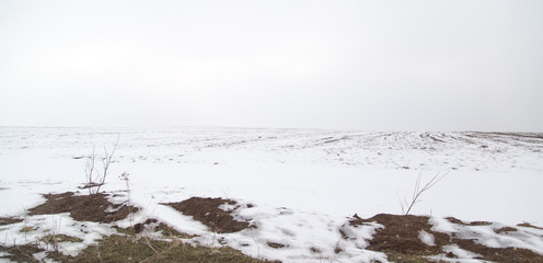 snow on the ground in nature