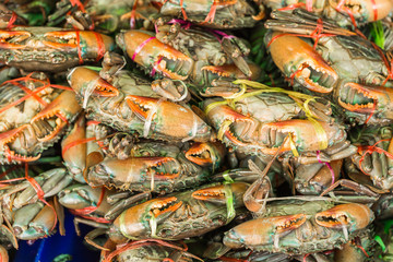 crabs in seafood markrt