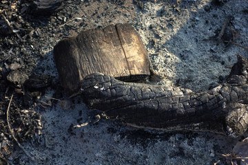 Remains of a bonfire