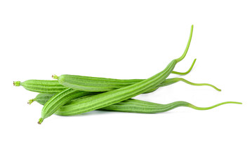 Fototapeta premium fresh luffa acutangula isolated on white background
