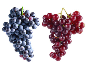 Dark grapes and Red grapes Isolated on white background