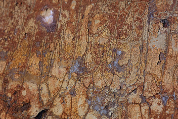 brown old painted texture cracked paint background
