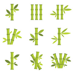 Fototapeta premium Bamboo vector icons set isolated on white background