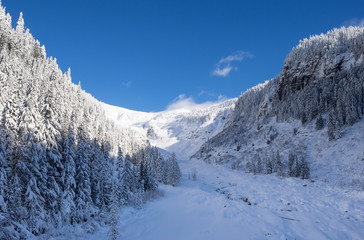 Fototapeta premium Winter In The Mountains