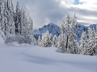 Winter In The Mountains