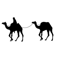 camel caravan vector illustration black silhouette
