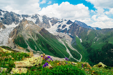 Fototapeta premium Rocky Caucasus Mountains (Bezengi Wall, Shkhara) landscape in Ushguli, Svaneti, Georgia 