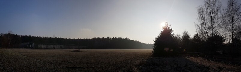 Poranek © michalsen