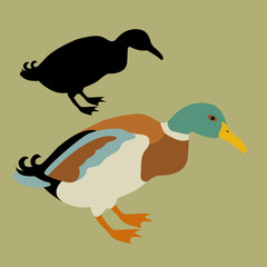 duck vector illustration style Flat
