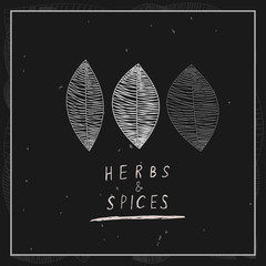 Специи и травы