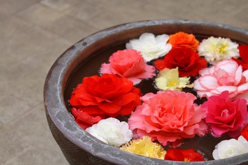 浮き花
