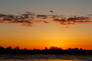 Fototapeta na wymiar sunset on winter lake
