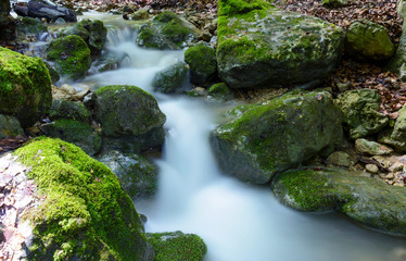 Wasser im Bach in der Natur