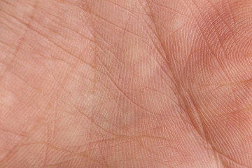 Macro photo of palm of the hand. © ddukang