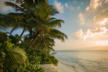 Obraz premium Warm sunset over tropical island beach