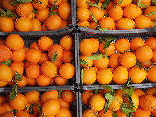 oranges market organic leaf