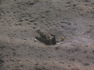 underwater in Hurghada