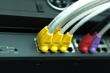 network cables connected