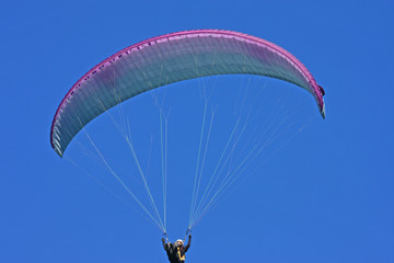 Paraglider