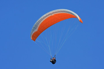Paraglider