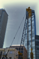 Industrial Construction Crane