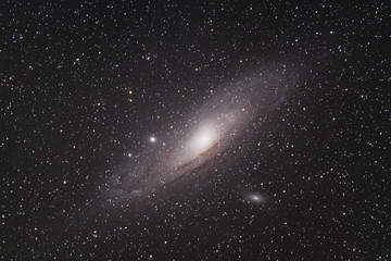 Obraz na płótnie Canvas M31 Andromeda Galaxy