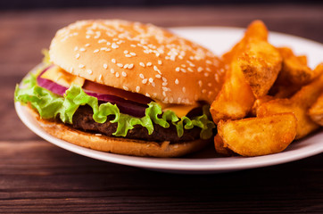 Burger with fries on a plate