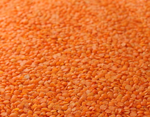 orange lentils background and texture 