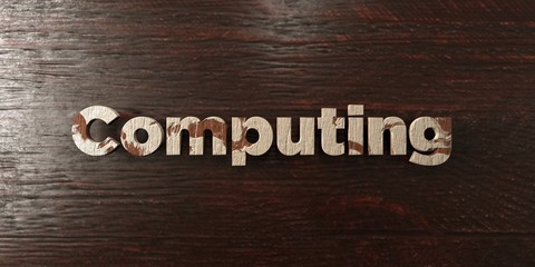 Computing - grungy wooden headline on Maple  - 3D rendered royalty free stock image. This image can be used for an online website banner ad or a print postcard.