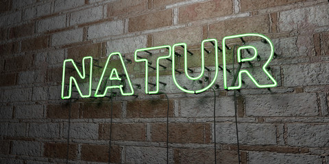 NATUR - Glowing Neon Sign on stonework wall - 3D rendered royalty free stock illustration.  Can be used for online banner ads and direct mailers..