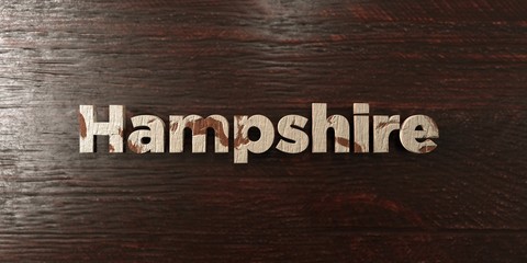 Hampshire - grungy wooden headline on Maple  - 3D rendered royalty free stock image. This image can be used for an online website banner ad or a print postcard.