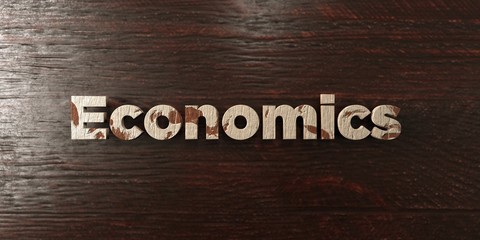 Economics - grungy wooden headline on Maple  - 3D rendered royalty free stock image. This image can be used for an online website banner ad or a print postcard.