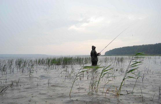 The fisherman stands in the water and catch fish on the bait. Weather rainy and Vatan. On the water is visible wave and splashes of rain.