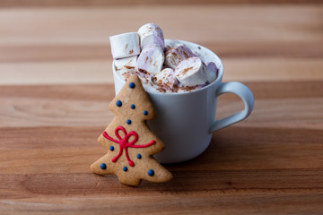 Cup of hot chocolate with murshmallows