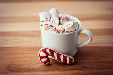 Cup of hot chocolate with murshmallows