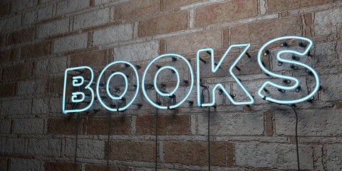 BOOKS - Glowing Neon Sign on stonework wall - 3D rendered royalty free stock illustration.  Can be used for online banner ads and direct mailers..
