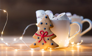 Cup of hot chocolate with murshmallows